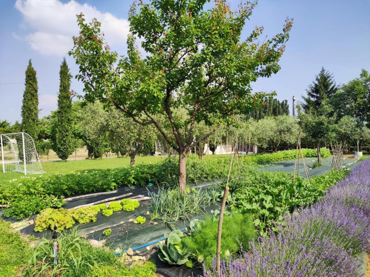Corte Davini Agriturismo Monzambano Eksteriør bilde