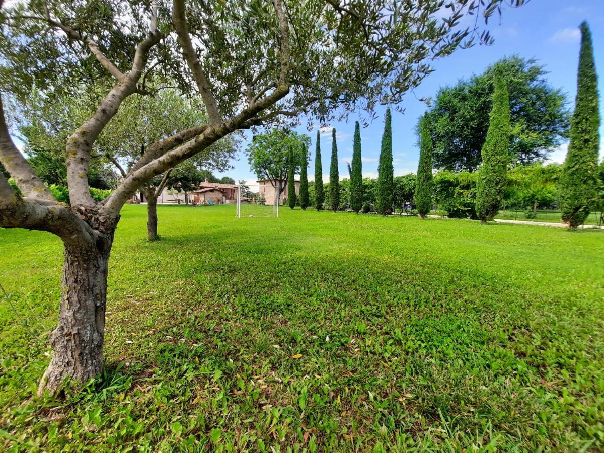 Corte Davini Agriturismo Monzambano Eksteriør bilde
