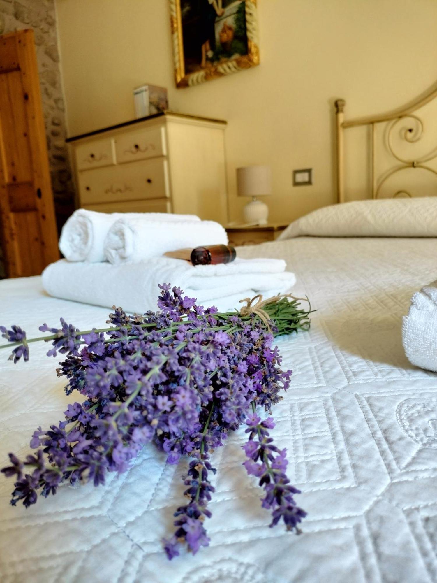 Corte Davini Agriturismo Monzambano Eksteriør bilde