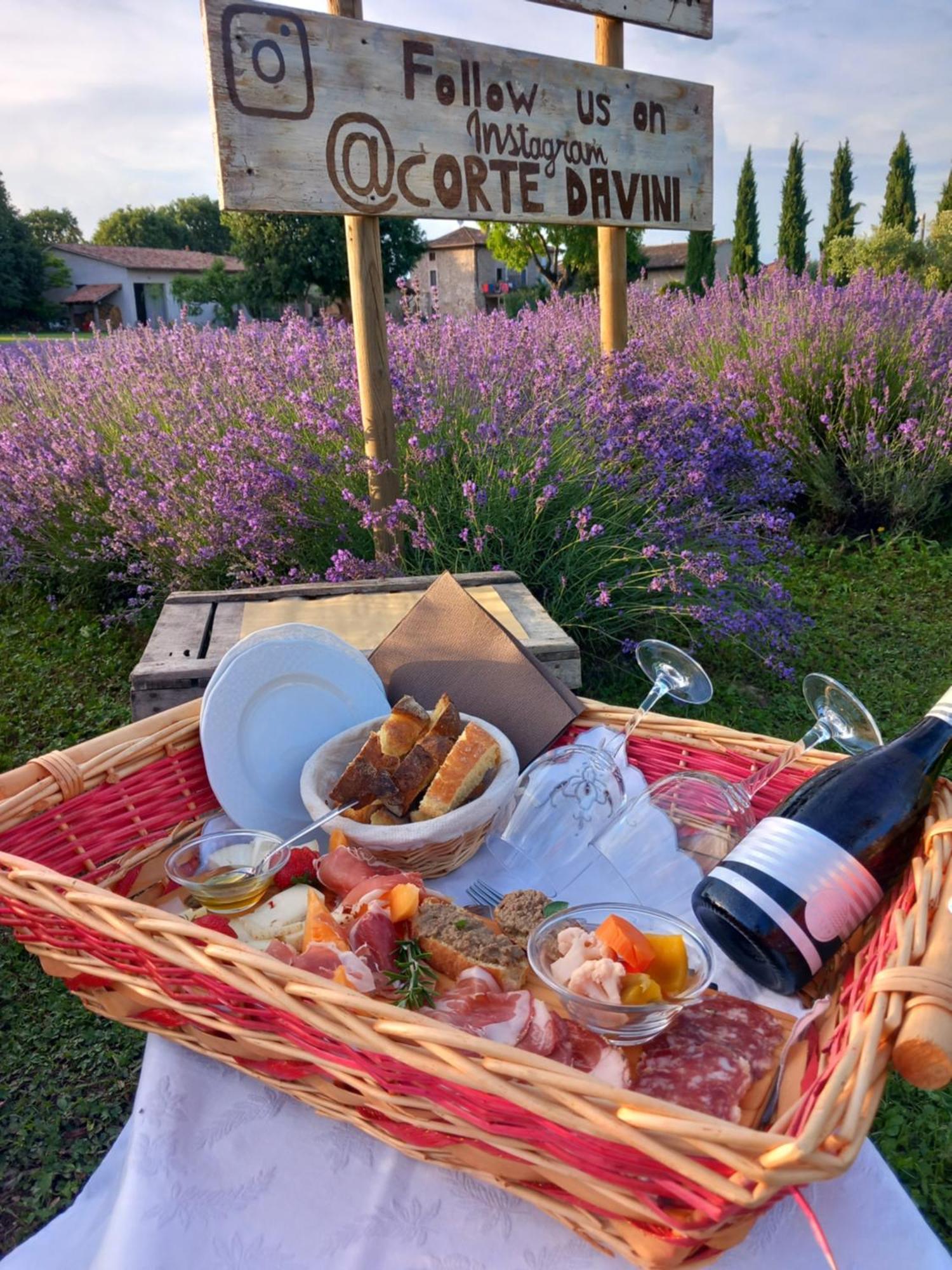 Corte Davini Agriturismo Monzambano Eksteriør bilde