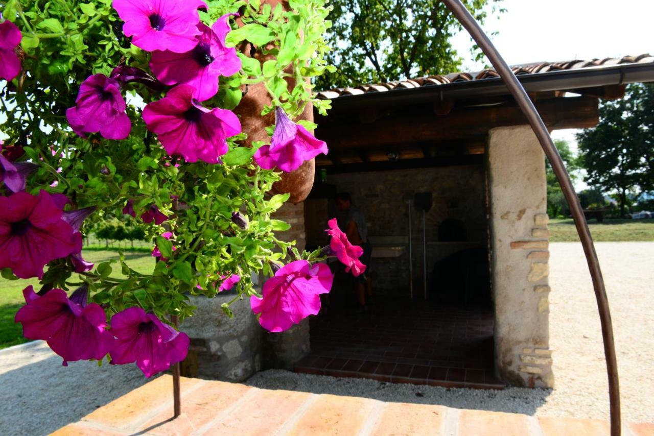 Corte Davini Agriturismo Monzambano Eksteriør bilde